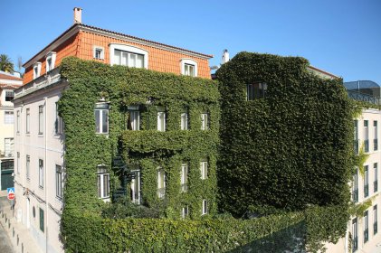 As Janelas Verdes